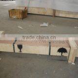 Linear Guide Rail and Slider/carriages,hiwin Linear Guideway,cnc Linear Guide Rail thumbnail-4