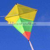 Promotional Kite