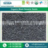 Rich in Nutrition High Grade Organic Black Sesame Seeds at Affordable Rates