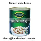 Canned White Beans in Brine Salty with competitive price