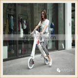 electric bicycle 500w