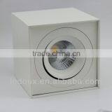 Adjustable Modern Hot Sale 9w Cob Led Ceiling Lamp for Hotel
