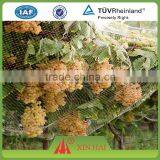 0.2 mm Cheap Nylon Monofilament Fishing Net Garden Net