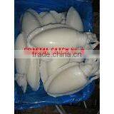 Coastal Catch Exim company overview - view 3 thumbnail