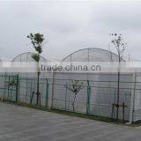 Plastic Film Greenhouse Polyethylene Film Multi Span Agriculture Greenhouse thumbnail-6