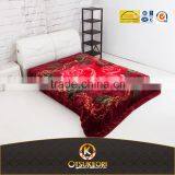 2016 100% Polyester Printed Soft Raschel Blankets