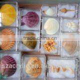 High Quality Transparent Plastic Small Box Storge Box Wholesale thumbnail-6