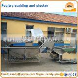 Industrial Chicken Scalder & Plucker Machine for Sale / Chicken Hair Removal Machine