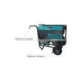 Portable Diesel Generator RPD5500E