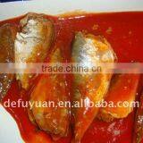 Popular Sale Canned Sardine in Tomato Sauce thumbnail-3