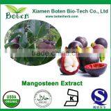 Natural Water Soluble Mangosteen Powder thumbnail-1