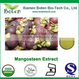 High Quality Kosher Certified HPLC 10%-98% Mangosteen Extract Supplier
