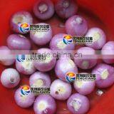 FX-128 Garlic Peeler/Shallot Peeling Machine With High Efficienty and CE Approved thumbnail-6