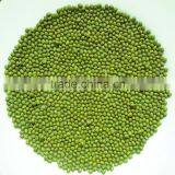 JSX Great Price Green Gram Great AD Drying Green Mung Bean thumbnail-1