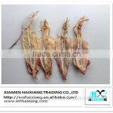 Export Dried Whole Squid for You