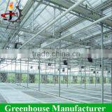 Large Scale Multi-span PC Sheet/board Greenhouse for Flower Plant thumbnail-6