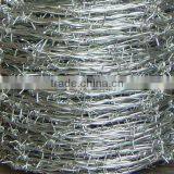 Galvanized Barbed Wire