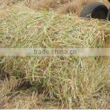Agricultural Machine Wheat Straw/corn Stalk Picking up Baler Machines thumbnail-4