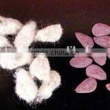 Cotton Seed Color Sorter Machine in China thumbnail-2