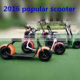 Fahshion 800W/1000W Brushless Motor Adult Electric Scooter, 2 Wheels Electric Scooter (TKE-S800) thumbnail-1