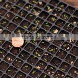 72 Cell Plug Tray, 540*280mm, 70mm Depth thumbnail-1