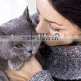 Pet Care Cat Food Kitten Formula thumbnail-1