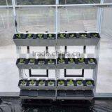 Plastic Garden Structure Wholesale Hydroponic Greenhouse thumbnail-2