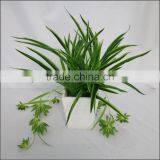 Artificial White Edge Spider Plant Hanging Spider Plant thumbnail-1