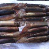 200-300g Frozen Illex Squid/Argentina thumbnail-1