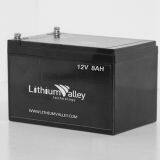 12V 8AH LiFePO4 Battery