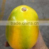 Artificial Similation by 90 % Fruit and Vegetable Prices With Mango, Banana, Starfruit, Pomelo thumbnail-2