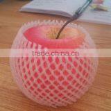 SGS Certificate Foam Net Protect Melon In Packaging thumbnail-6