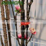 2000pcs Box Packing Colorful Paper Twist Tie thumbnail-6