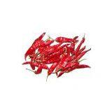 Sell Wangdu Chili thumbnail-1