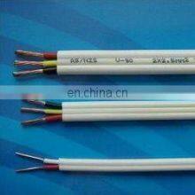 China Factory Twin and Earth Wire Flat Thermoplastic Sheathed TPS Cable thumbnail-1