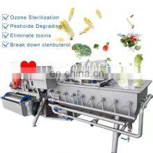 High Quality Chinese Bulk Pack Fresh IQF Frozen Broccoli Vegetable Washing Machine thumbnail-2