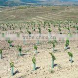 Plastic Tree Guards/Outdoor Tree Protectors/Plant Tree Shelters thumbnail-2