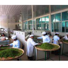 Puyang Aike Tea Co., Ltd. company overview - view 1 thumbnail