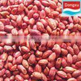 Bulk Red Skin Peanut Kernels