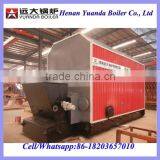 Industrial thermal oil boiler China