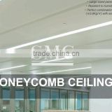 Honeycomb Ceiling
