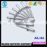 HIGH QUALITY HOT SELLING FACTORY STRUCTURAL HEM TYPE RIVETS FOR AUTOMOBILE thumbnail-5