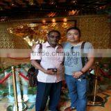 Model SBH Series 3D Swinging Mixer thumbnail-4