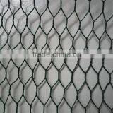 Green Pvc Coated Chicken Wire Mesh thumbnail-3
