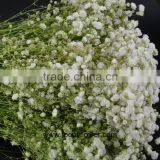 Ornamental Plants Real Touch Flower Onlin Wholesale Shop Baby's Breath thumbnail-3