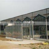 Network Type Kyws 9.6m Glass Greenhouse thumbnail-4