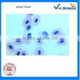 Biology Teaching Zoological Histology Prepared Glass Slides Set From Factory