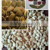Pumpkin Seeds Grown Without Shell/gws