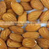 Almond Nuts , Cashew Nuts , Macadamia Nuts , Pistachio Nuts thumbnail-1