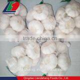 Certified GAP/ KOSHER/ HALAL New Crop Normal White Garlic thumbnail-4